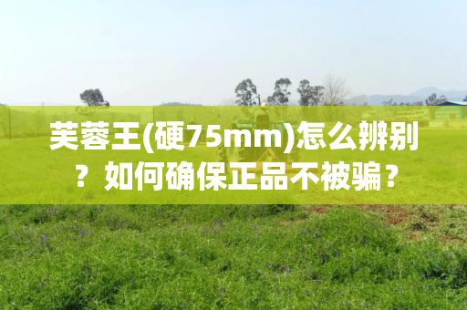 芙蓉王(硬75mm)怎么辨别？如何确保正品不被骗？